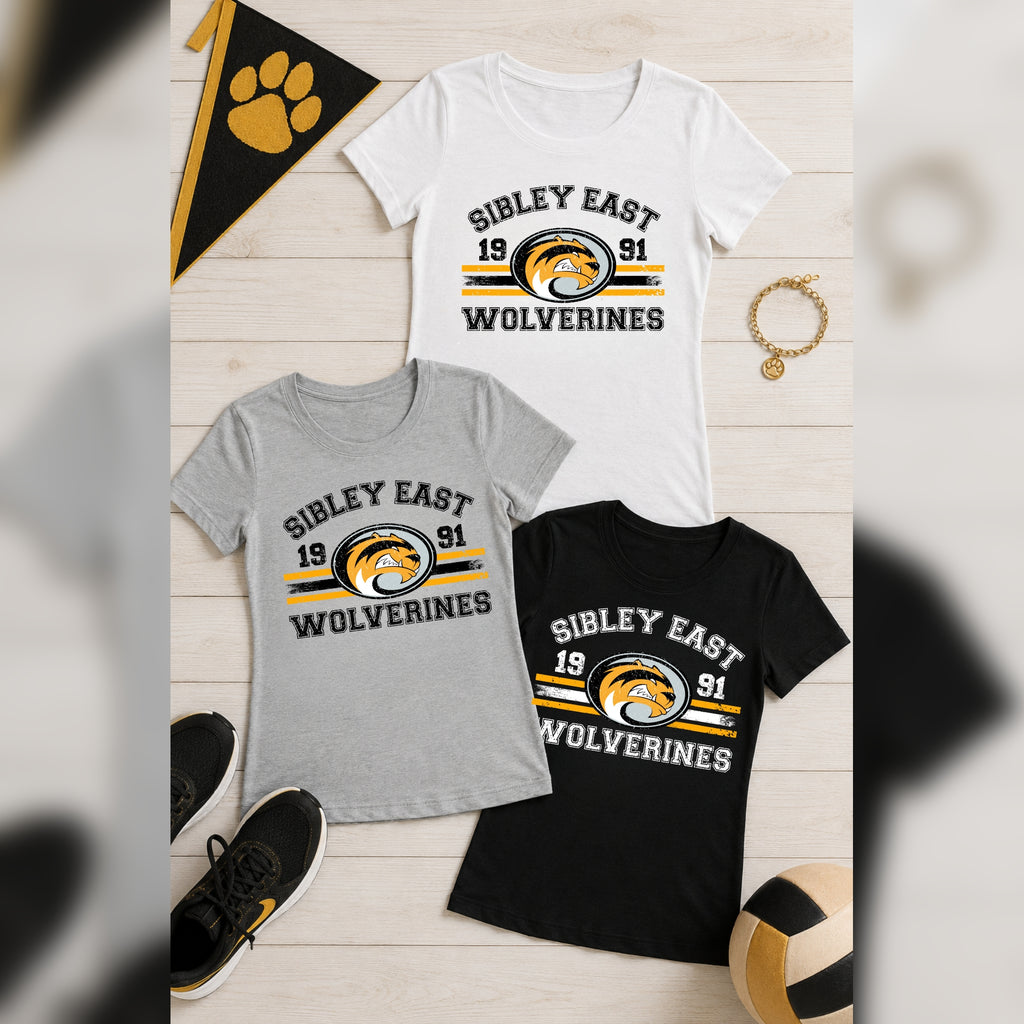 Bella Canvas Ladies Triblend T-Shirt | Campus Collection 2