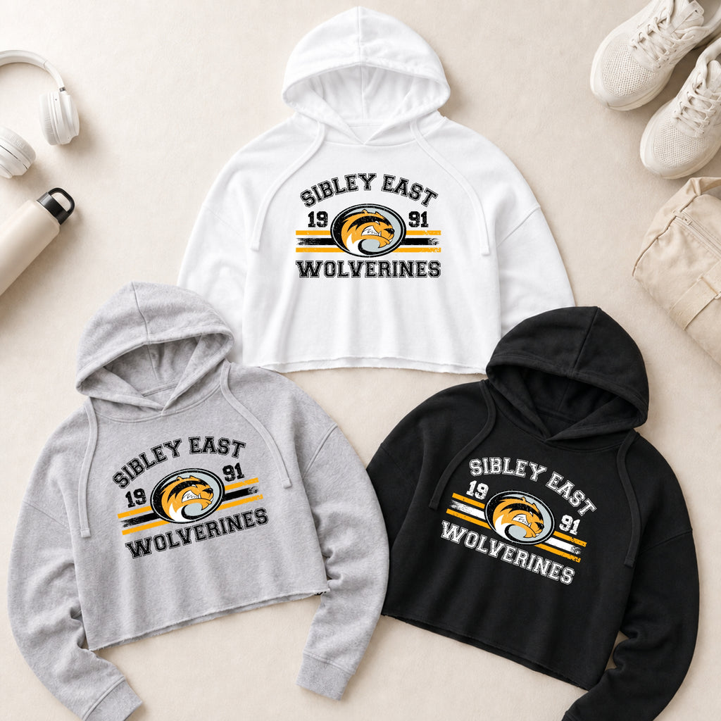 Independent Trading Women’s Lightweight Cropped Hoodie | Campus Collection 2