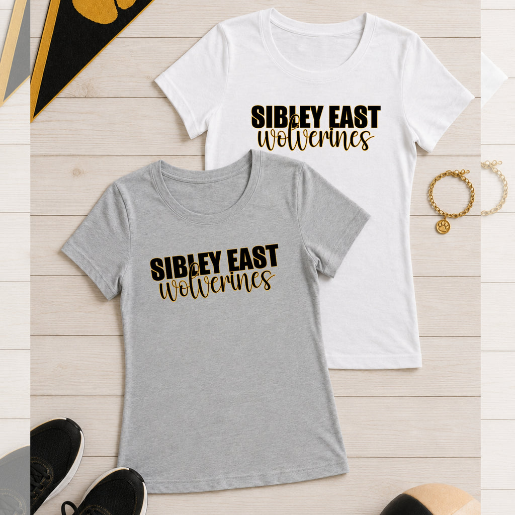 Bella Canvas Ladies Triblend T-Shirt | Campus Collection 3